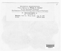 Image Associated With the Occurence
